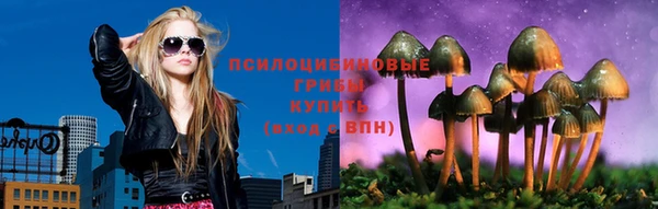 гашик Волоколамск