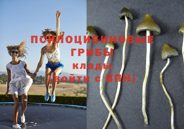 амф Володарск