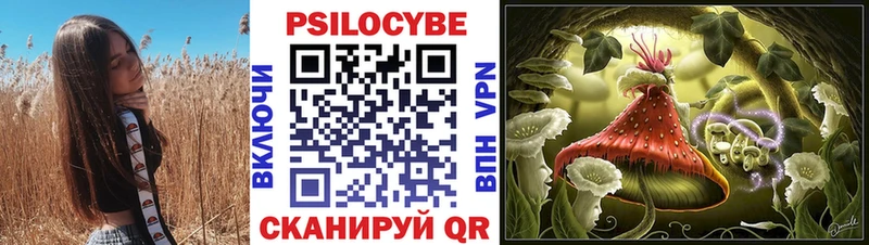 Псилоцибиновые грибы Magic Shrooms  закладки  Зерноград 